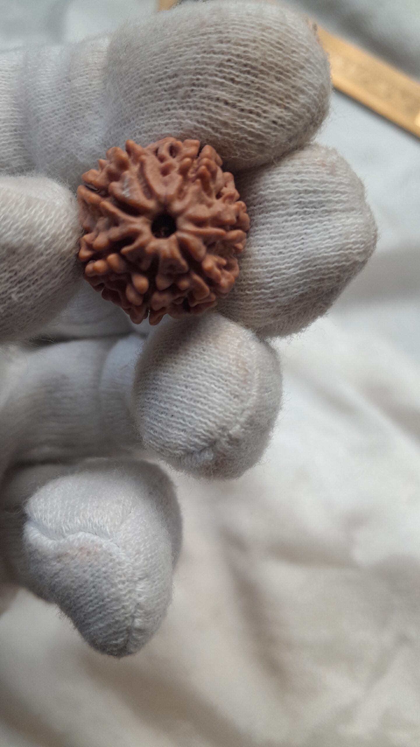 original nepal 7 mukhi rudraksha beads original nepal 7 mukhi rudraksha beads