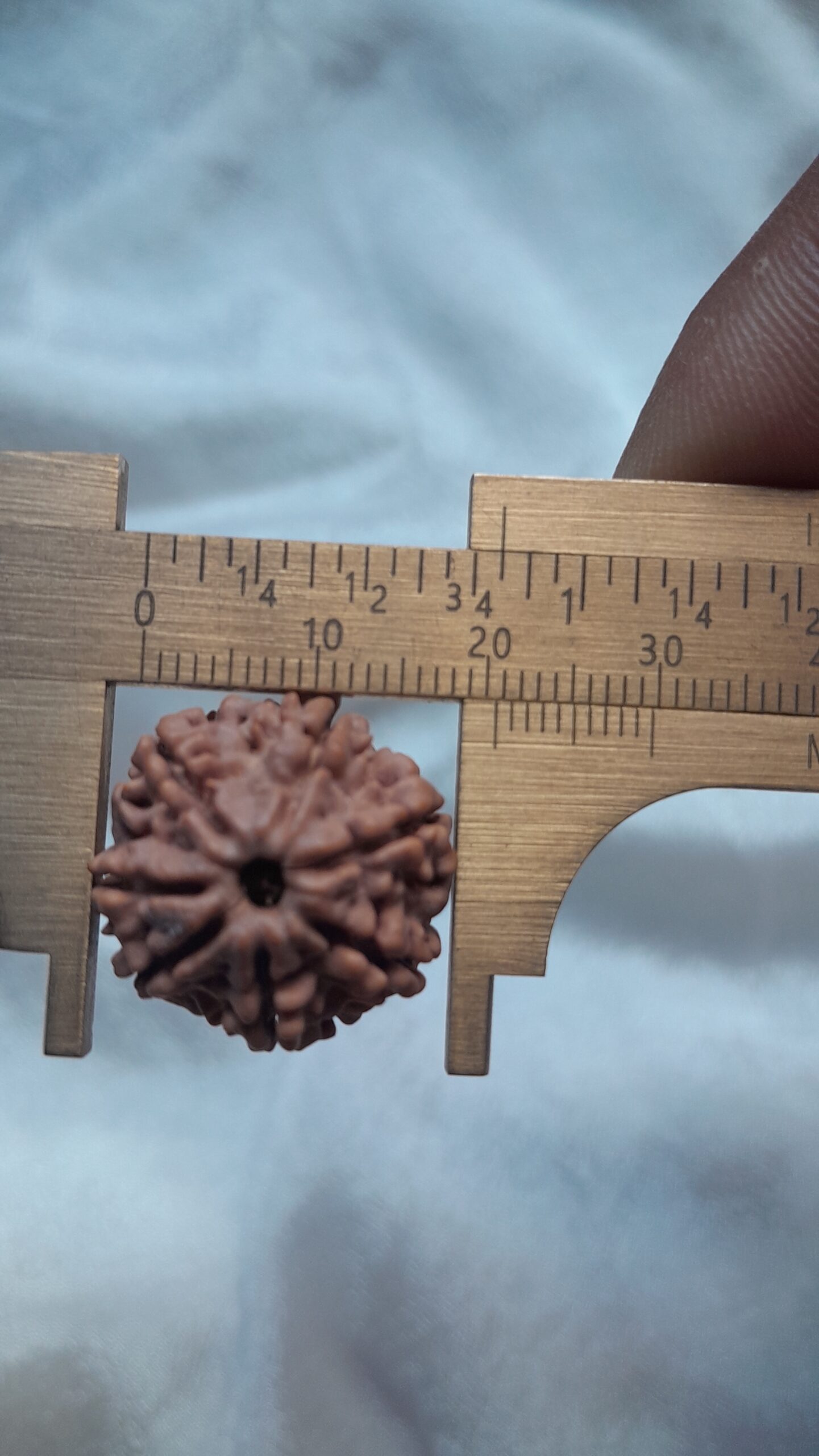original nepal 7 mukhi rudraksha beads original nepal 7 mukhi rudraksha beads