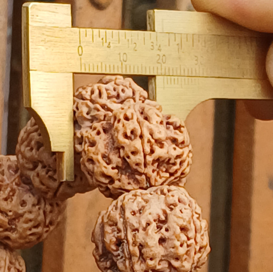 5 mukhi big size bracelet 5 mukhi big size bracelet
