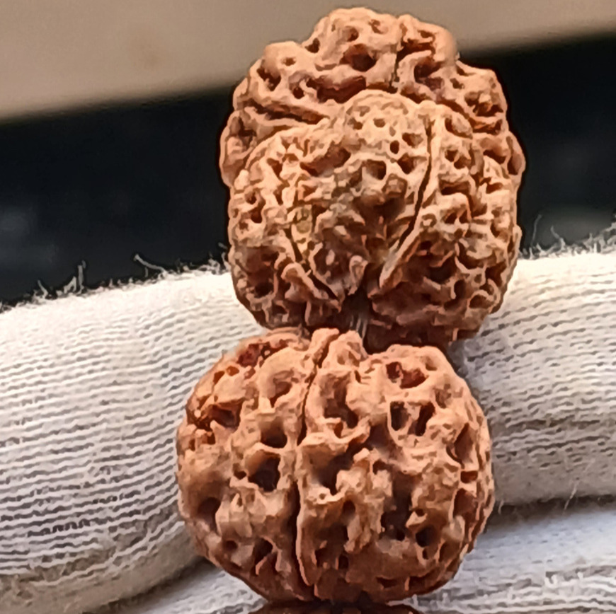 5 mukhi big size bracelet 5 mukhi big size bracelet