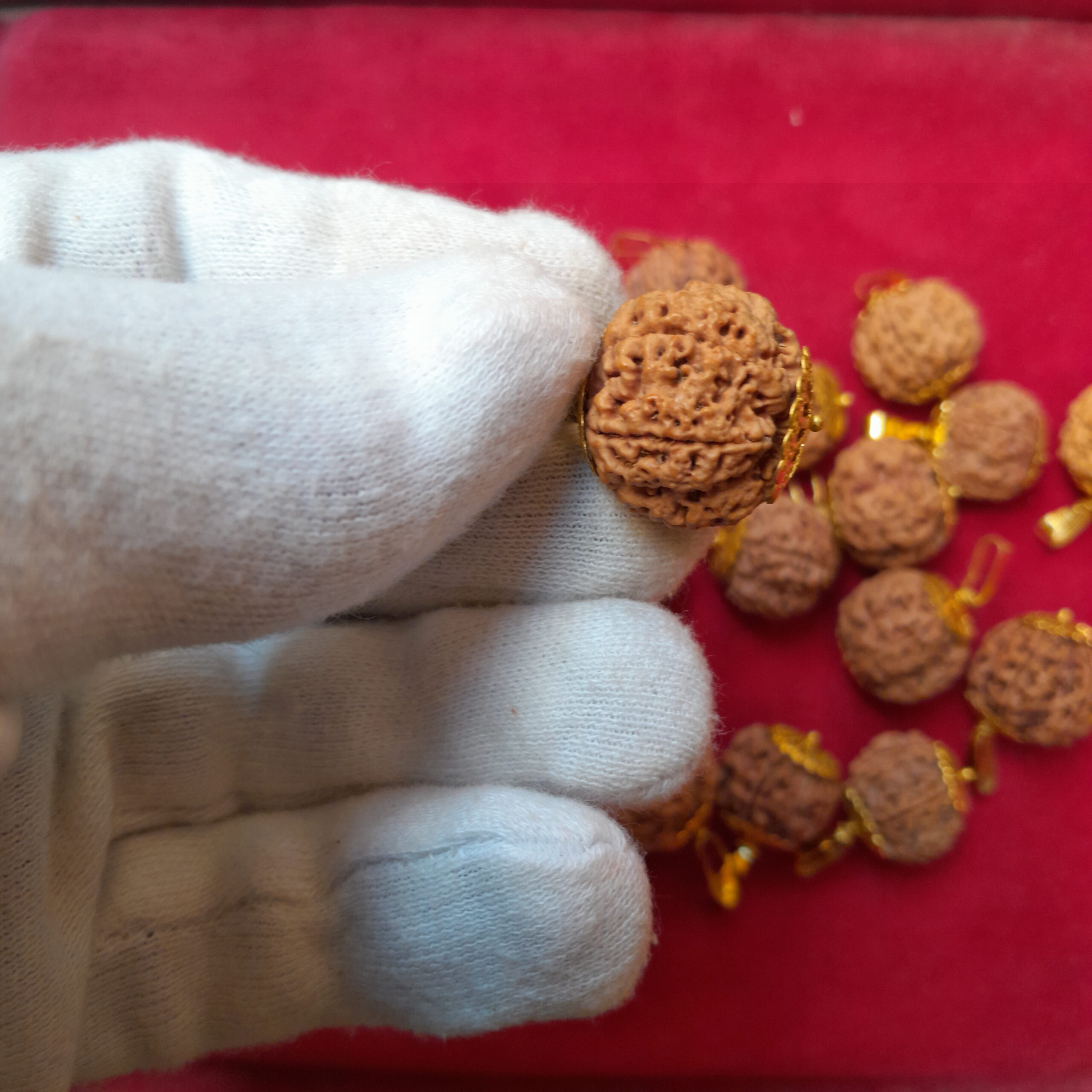 5 mukhi pendent 5 mukhi pendent