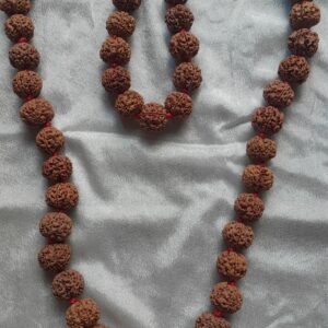 big size 5 mukhi rudraksha mala 21 22mm