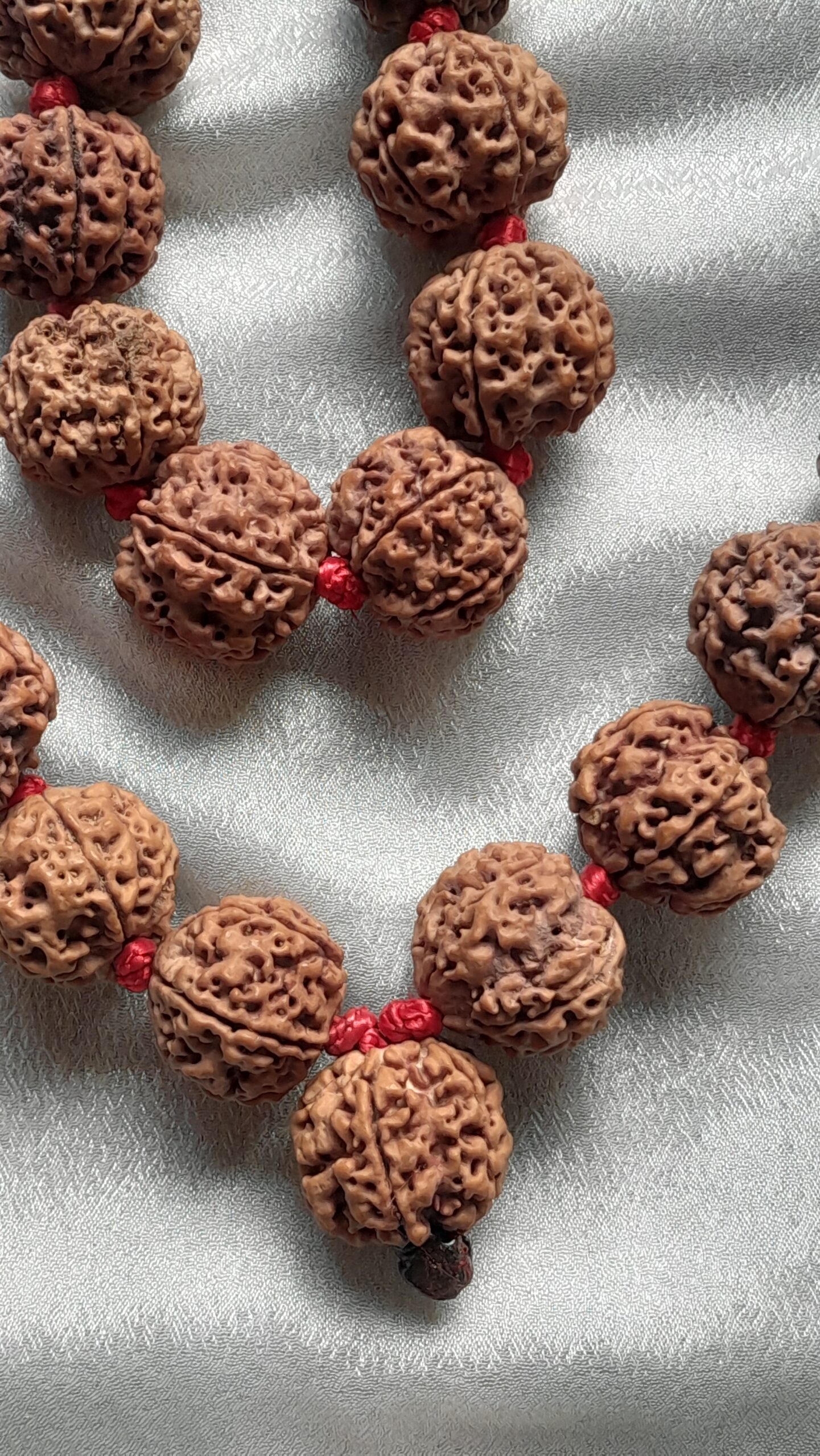 big size 5 mukhi rudraksha mala 21 22mm big size 5 mukhi rudraksha mala 21 22mm