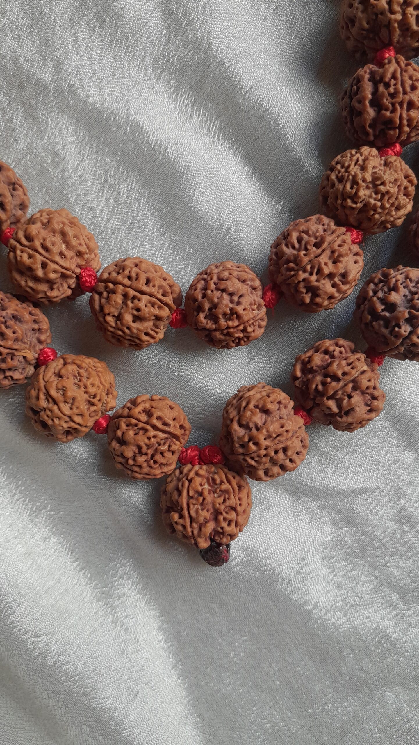 big size 5 mukhi rudraksha mala 21 22mm big size 5 mukhi rudraksha mala 21 22mm