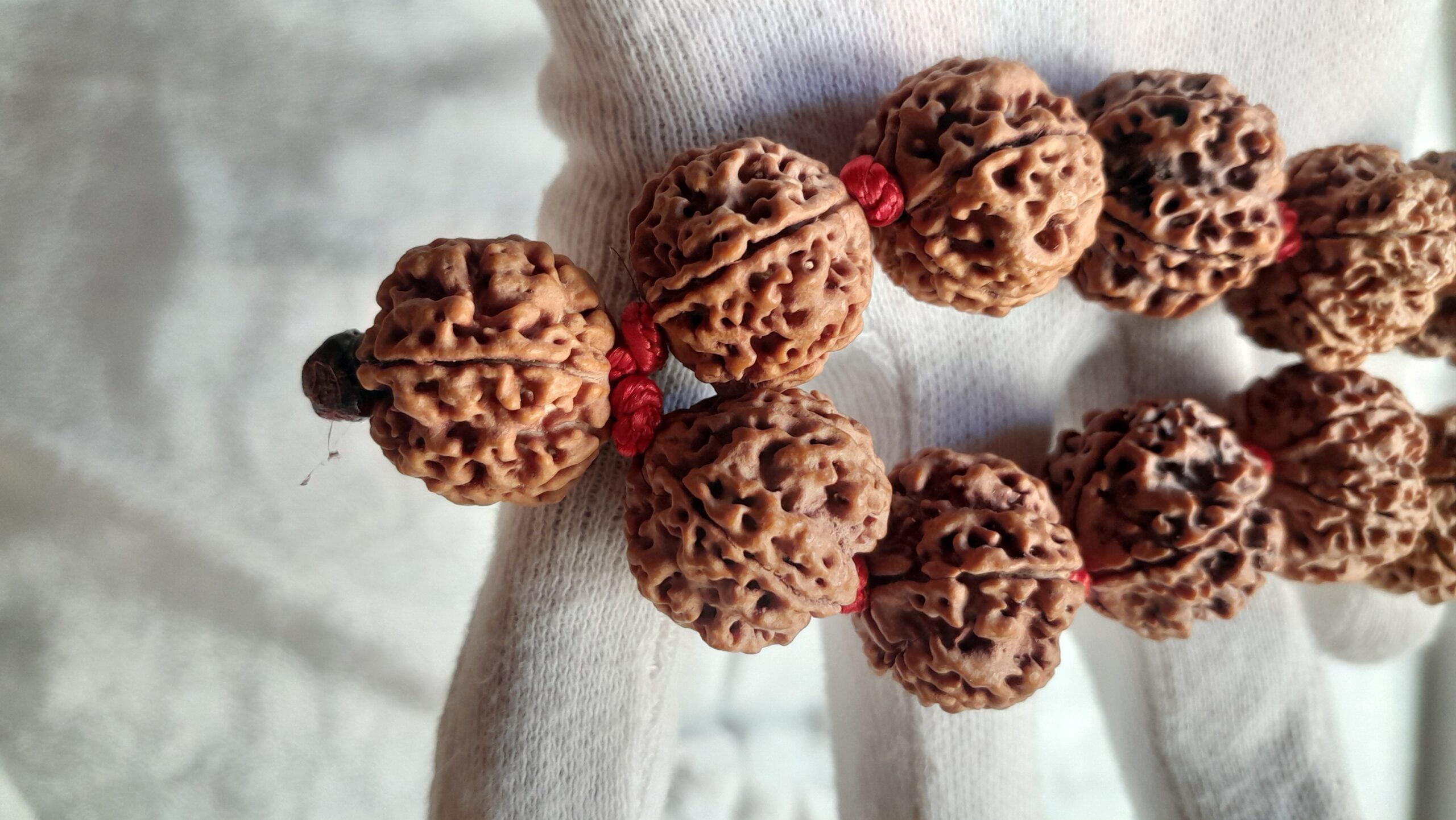 big size 5 mukhi rudraksha mala 21 22mm big size 5 mukhi rudraksha mala 21 22mm