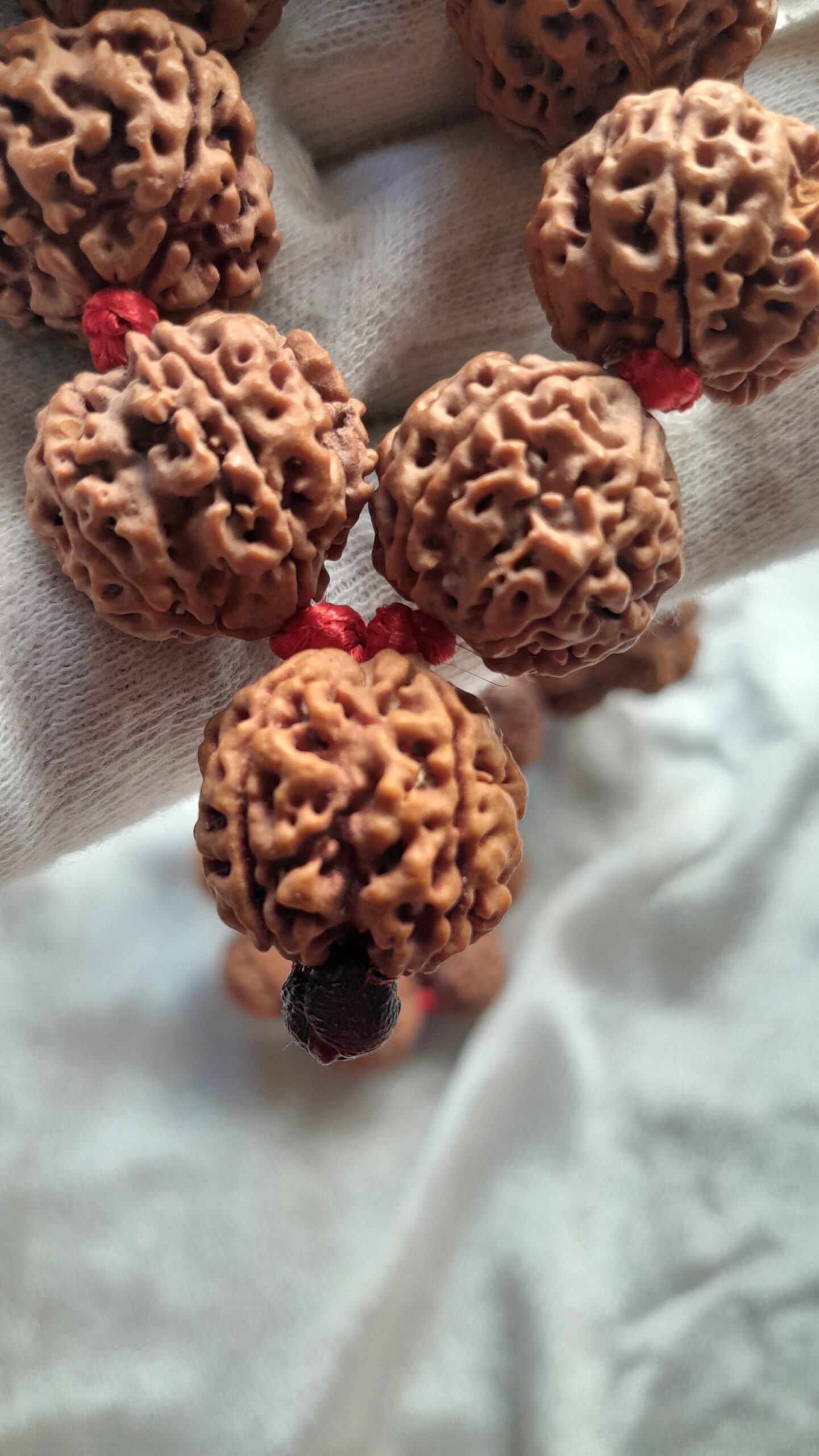 big size 5 mukhi rudraksha mala 21 22mm big size 5 mukhi rudraksha mala 21 22mm
