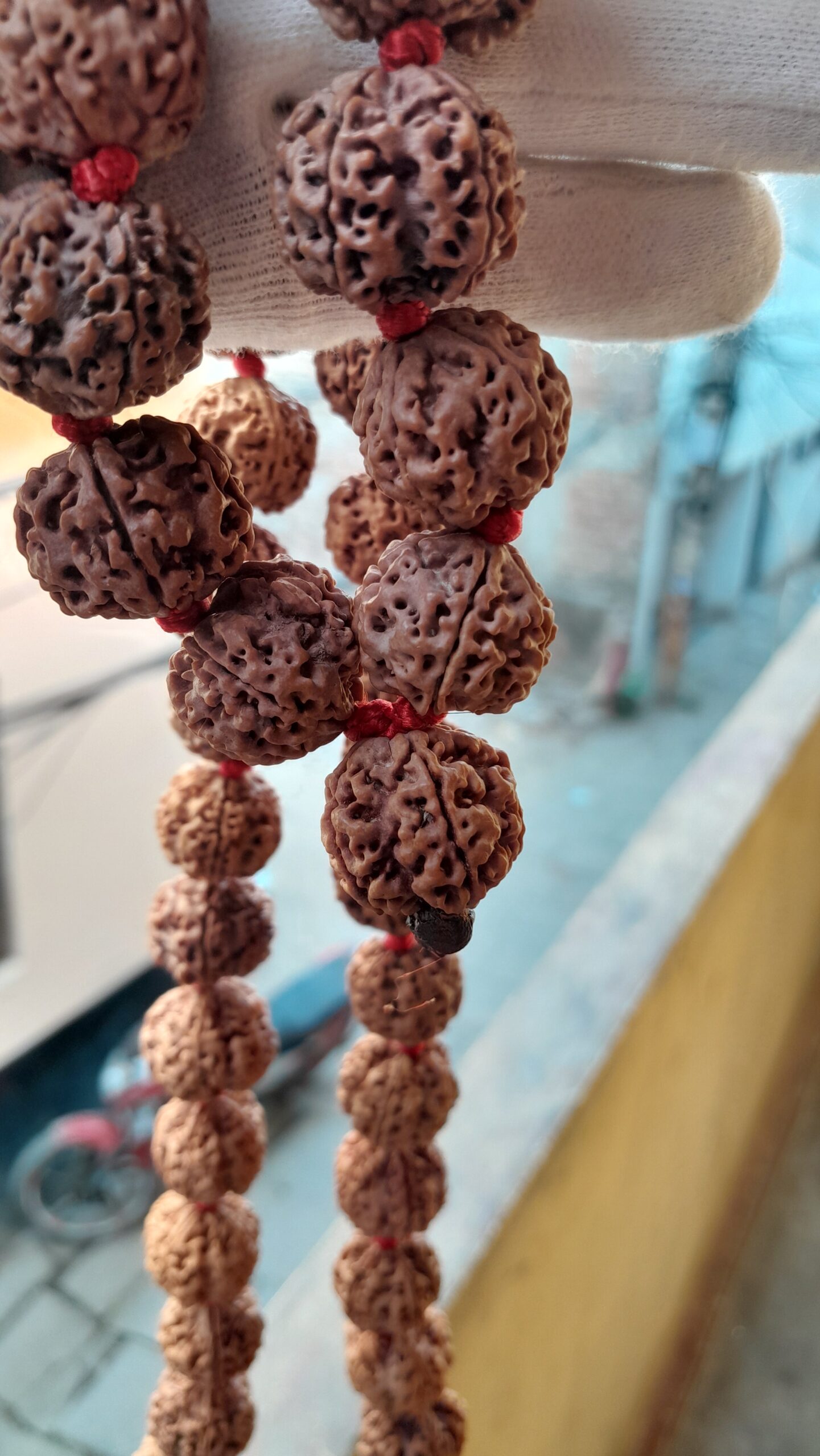 big size 5 mukhi rudraksha mala 21 22mm big size 5 mukhi rudraksha mala 21 22mm