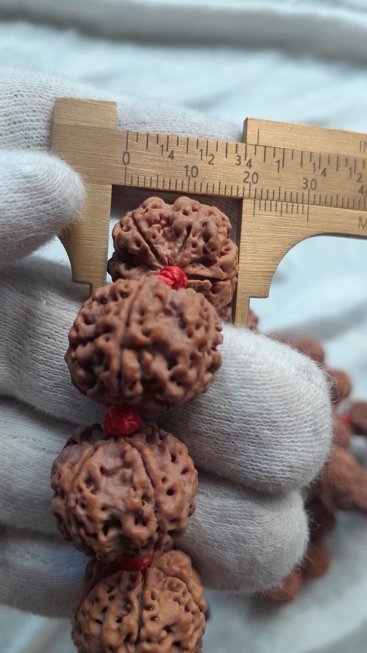 big size 5 mukhi rudraksha mala 21 22mm big size 5 mukhi rudraksha mala 21 22mm